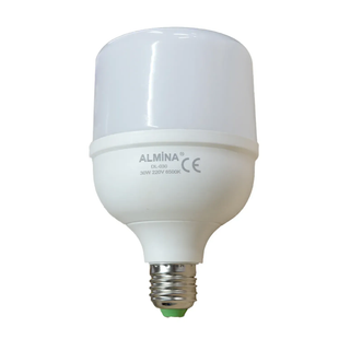 Светодиодная LED-лампа Almina DL-030 E27 30 Вт с аккумулятором eve1938 фото